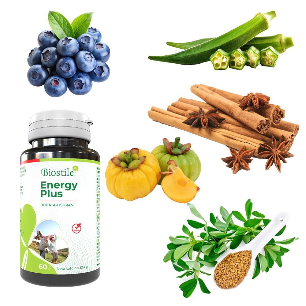 Energy Plus 13 Energy plus 2